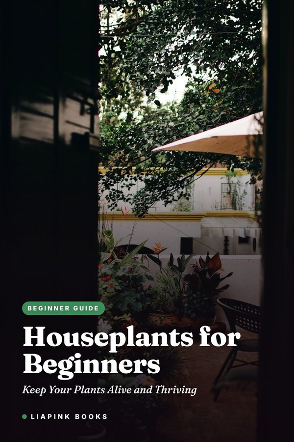Houseplants for Beginners